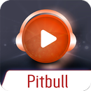 Pitbull Top Hits APK