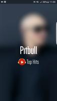 Pitbull Top Hits poster