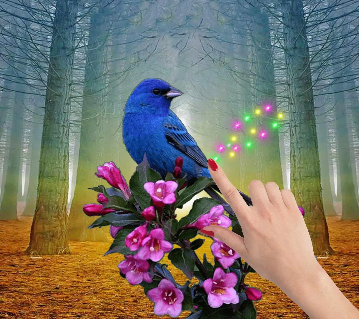 Moving Bird Live Wallpaper APK for Android Download