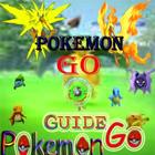 Guide Pokemon Go Zeichen