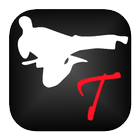 Taekwondo Training biểu tượng