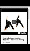 Taekwondo-Training Screenshot 2