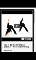 Taekwondo Training screenshot 2