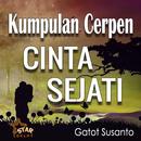 CERPEN CINTA SEJATI APK