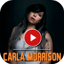 Carla Morrison Top MV APK