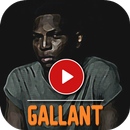 APK Gallant Top MV