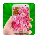 Sakura Live Wallpaper APK