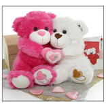 دمية دب خلفية حية