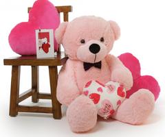 Teddy Bear Live Wallpaper اسکرین شاٹ 3