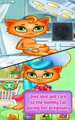 付出愛和關懷，這些孕媽媽的貓和他們的新生小貓 APK 下載