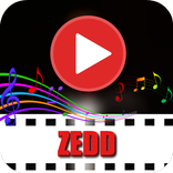 Zedd Video