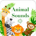 Animal Sound
