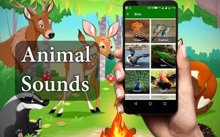 Animal Sound screenshot 1