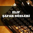 Elif Şafak Sözleri icône