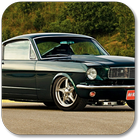 Muscle Cars آئیکن