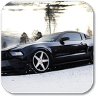 آیکون‌ Modified Mustang Pics
