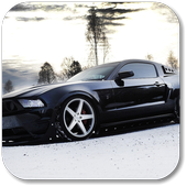 Modified Mustang Pics icon