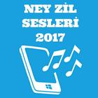 Ney Zil Sesleri 2017 ikona