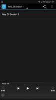 Ney Zil Sesleri 2017 imagem de tela 1