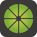 LiME TAXi APK