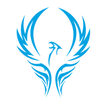 Pocket Fenix