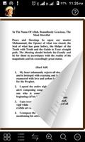 Diwani English Translation 截图 2