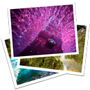 Firework vidéo LWP APK