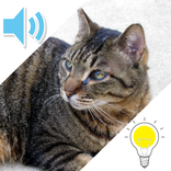 どうぶつなきごえクイズ -子供向け動物鳴き声当て,神経衰弱-