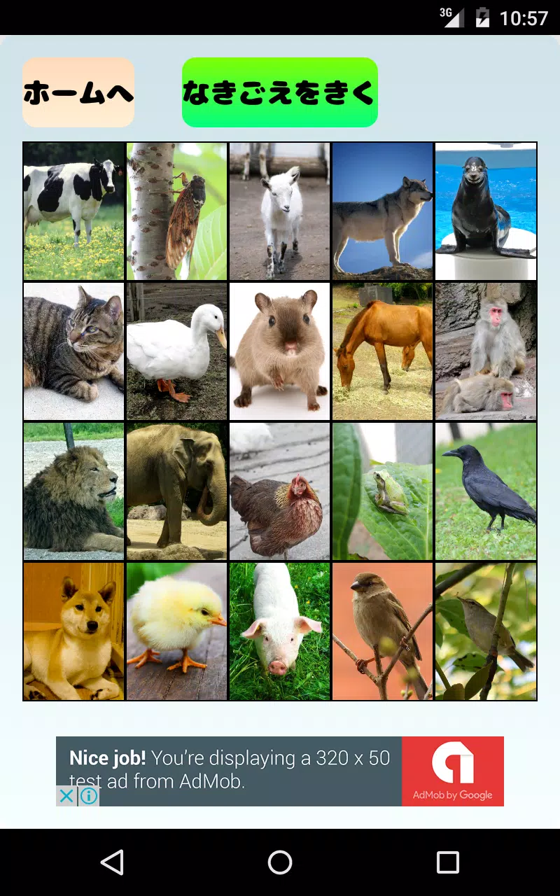 Android向けのどうぶつなきごえクイズ 子供向け動物鳴き声当て 神経衰弱 Apkをダウンロードしましょう