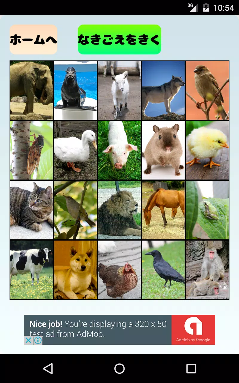 Android向けのどうぶつなきごえクイズ 子供向け動物鳴き声当て 神経衰弱 Apkをダウンロードしましょう