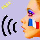 Talk French Grammar F icon