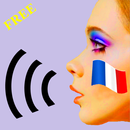 Talk French Grammar F APK