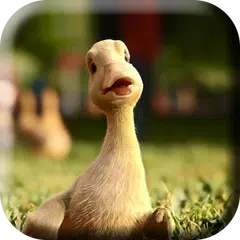 Talking Duck Live Wallpaper