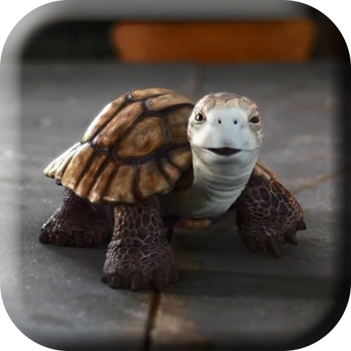 Talking Turtle Live Wallpaper