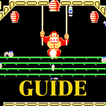 Guide for Donkey Kong