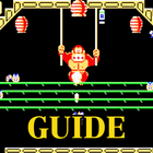 Guide for Donkey Kong ícone