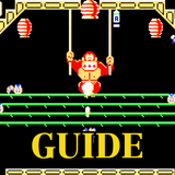 Guide for Donkey Kong ícone