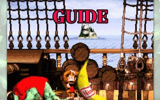 Guide for Donkey Kong ポスター