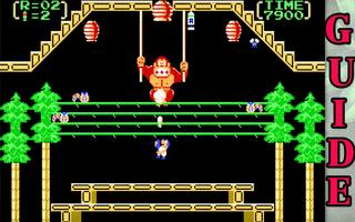 Guide for Donkey Kong captura de pantalla 1