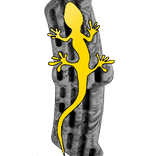 Metolius hangboard training