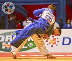 Judo Tutorials ภาพหน้าจอ 2