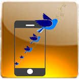 Turkish Quit Ringtones