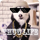 Thug Life Photo Maker Pro APK
