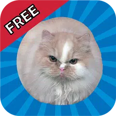 Jumping Cat - touch & tap APK download