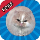 Jumping Cat - touch & tap APK