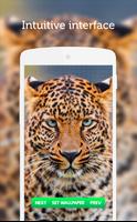 Leopard Wallpaper screenshot 1