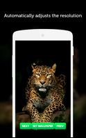 Leopardo Fondo de Pantalla captura de pantalla 2