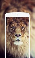 Lion Wallpaper تصوير الشاشة 1