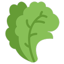 10000+ Tasty Easy Healthy Salad Recipes FREE APK