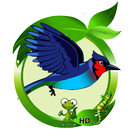 Bird Simulator APK